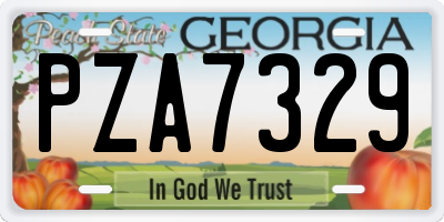 GA license plate PZA7329