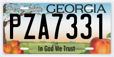 GA license plate PZA7331
