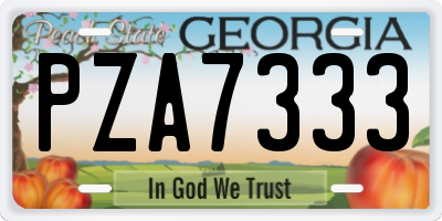 GA license plate PZA7333