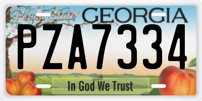GA license plate PZA7334