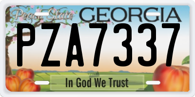 GA license plate PZA7337