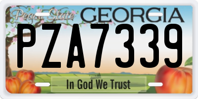 GA license plate PZA7339