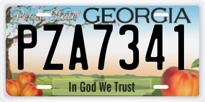 GA license plate PZA7341
