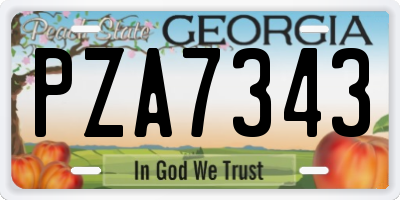 GA license plate PZA7343