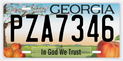 GA license plate PZA7346