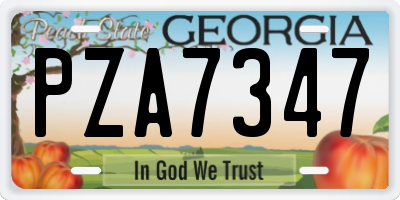 GA license plate PZA7347