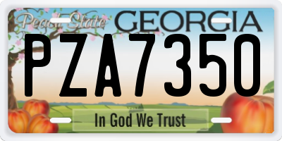 GA license plate PZA7350