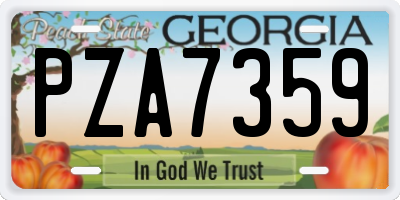GA license plate PZA7359