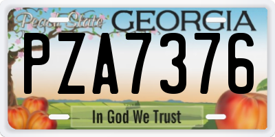 GA license plate PZA7376