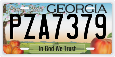 GA license plate PZA7379