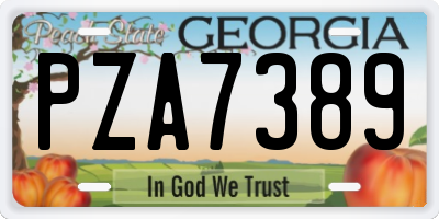 GA license plate PZA7389