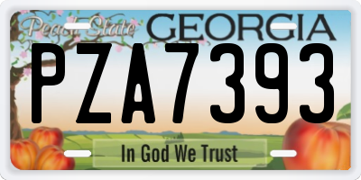 GA license plate PZA7393