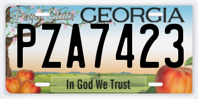 GA license plate PZA7423