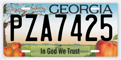 GA license plate PZA7425