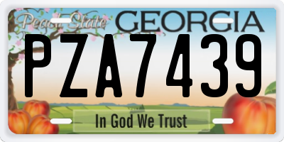 GA license plate PZA7439