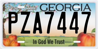 GA license plate PZA7447