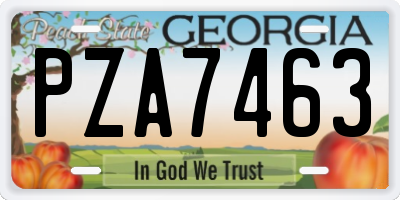GA license plate PZA7463