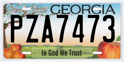 GA license plate PZA7473