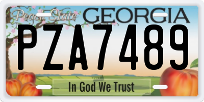 GA license plate PZA7489