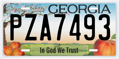 GA license plate PZA7493
