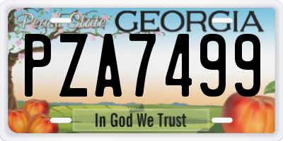 GA license plate PZA7499