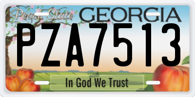 GA license plate PZA7513