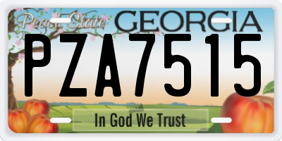 GA license plate PZA7515