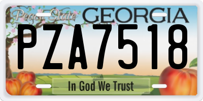 GA license plate PZA7518