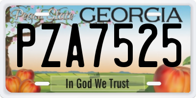 GA license plate PZA7525