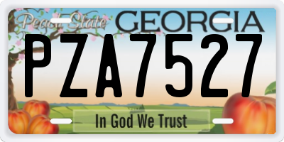 GA license plate PZA7527
