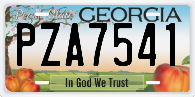 GA license plate PZA7541