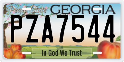 GA license plate PZA7544