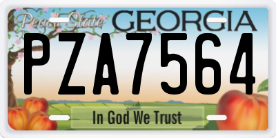 GA license plate PZA7564