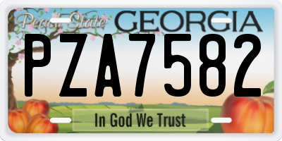 GA license plate PZA7582