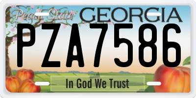 GA license plate PZA7586