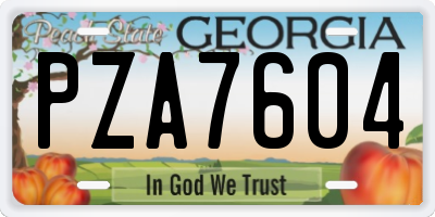 GA license plate PZA7604