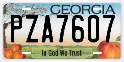 GA license plate PZA7607