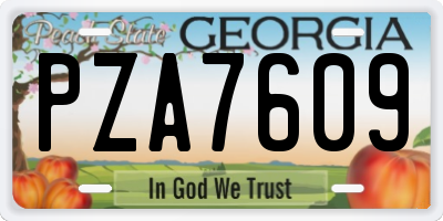GA license plate PZA7609