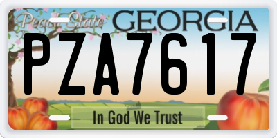 GA license plate PZA7617