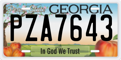GA license plate PZA7643