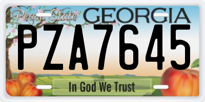 GA license plate PZA7645