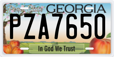 GA license plate PZA7650