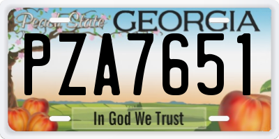 GA license plate PZA7651