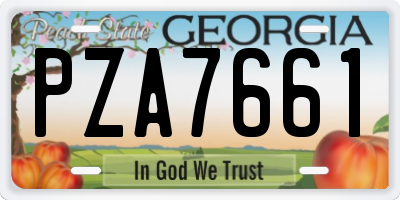GA license plate PZA7661