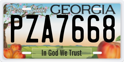 GA license plate PZA7668