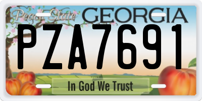 GA license plate PZA7691