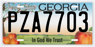 GA license plate PZA7703