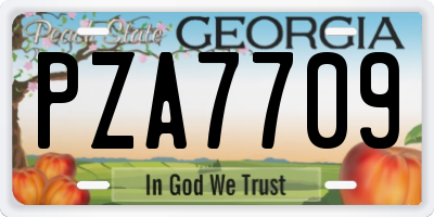 GA license plate PZA7709