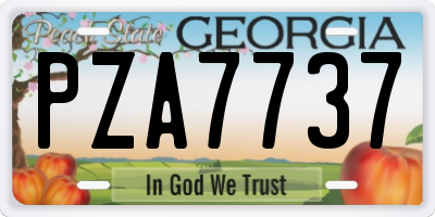 GA license plate PZA7737