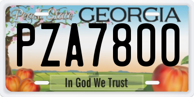 GA license plate PZA7800